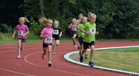 Zomerloop Hogeberg 005,  13 aug. 2025