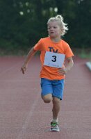 Zomerloop 006, 19 aug. 2026
