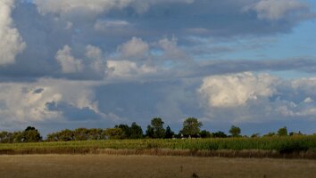 Zomerloop 121, 19 aug. 2026