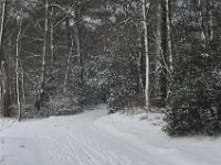 DSC 9973