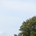 Texel Halve Marathon_1426