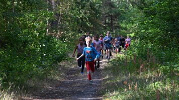 Turfveld Zomercross  26-08-16 10_35_36 