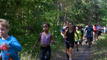 Turfveld Zomercross  26-08-16 10_35_41 
