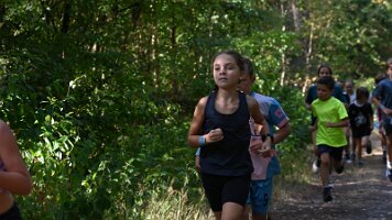 Turfveld Zomercross  26-08-16 10_35_43 