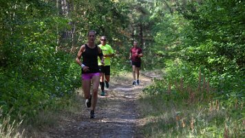 Turfveld Zomercross  26-08-16 10_50_18 